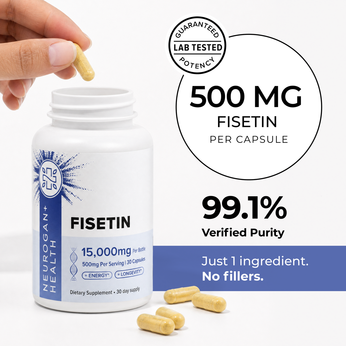 Fisetin Capsules