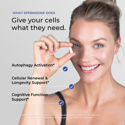 Liposomal Spermidine Capsules